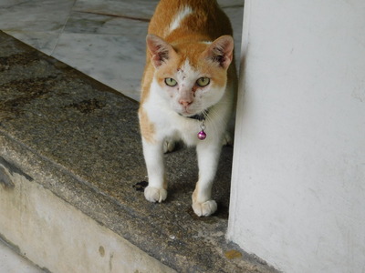 DSCN0049