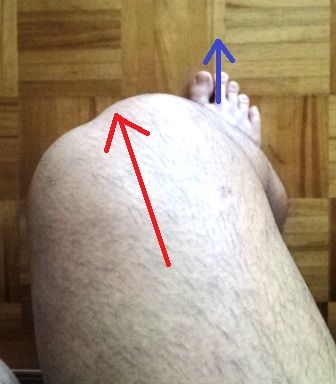 ぼくの体はトゥーアウト ２ 元祖ですよ 鈴々堂