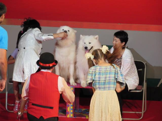 ロシア国立 ボリショイサーカス 多言語翻訳 Samurai Global 多言語のススメ