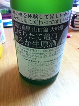越の梅里