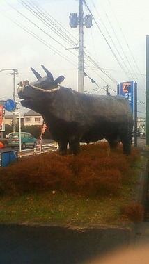 044808b0.jpg