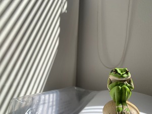 LINE_ALBUM_ブログ用_230222333