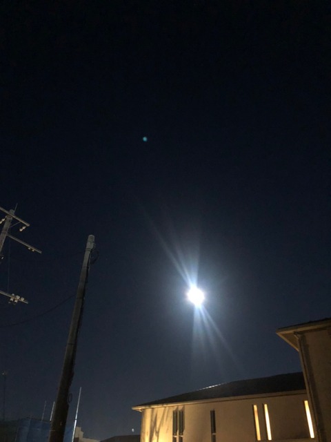 LINE_ALBUM_ブログ用_211021