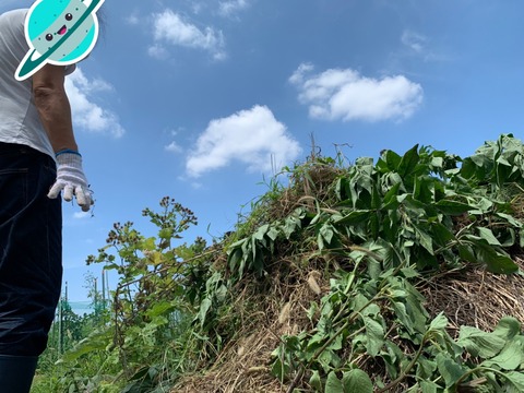 LINE_ALBUM_農業部_220810_9