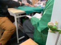 LINE_ALBUM_ブログ用_221221_2