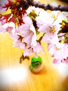LINE_ALBUM_ブログ用_230329