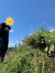 LINE_ALBUM_農業部_220907_1