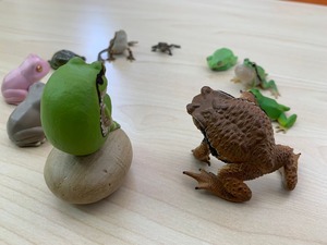 LINE_ALBUM_ブログ用_230221２２２