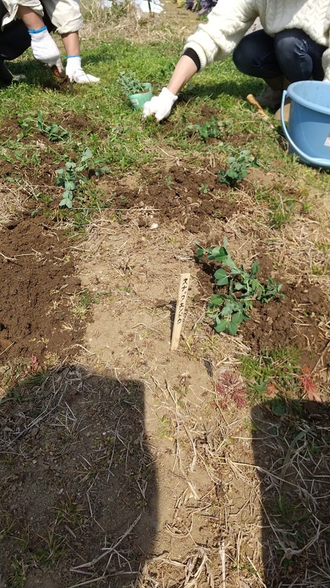 LINE_ALBUM_農業部_220311_1