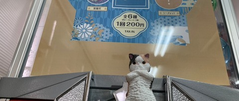 現場監督