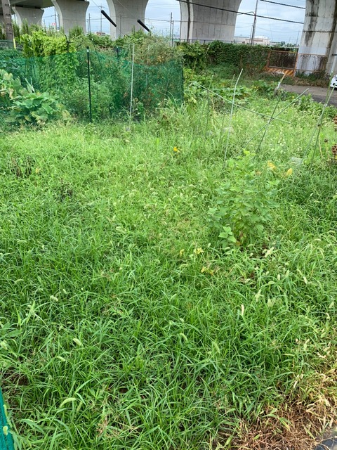 LINE_ALBUM_農業部_220810_0