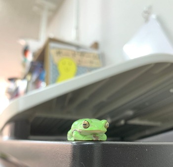 LINE_ALBUM_ブログ用_221221_1