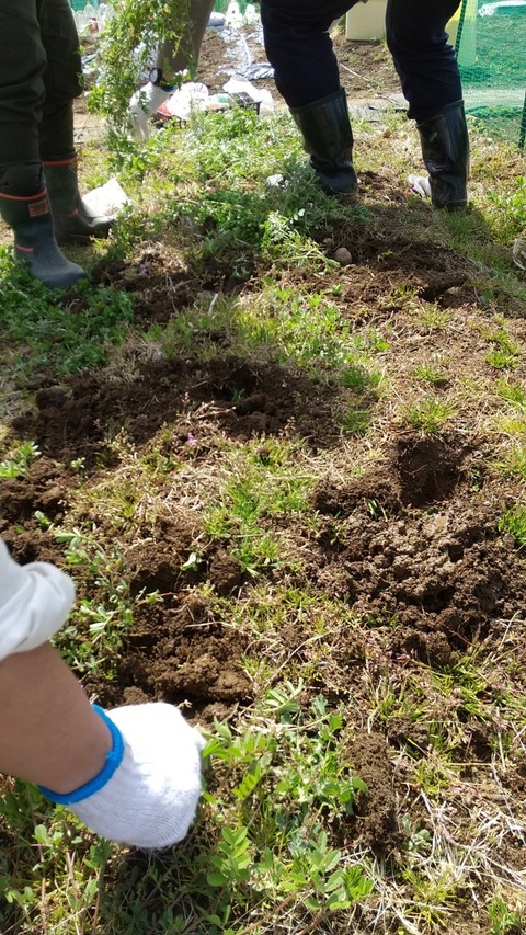 LINE_ALBUM_農業部_220325_1