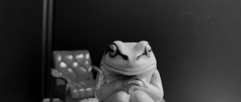 flog1