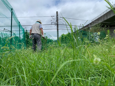 LINE_ALBUM_農業部_220810_5