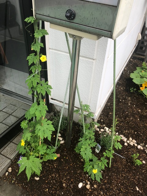 農業部_210629_0
