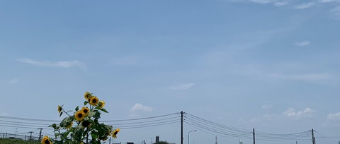 夏の空
