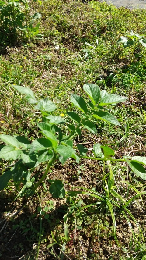 LINE_ALBUM_農業部_211029_2