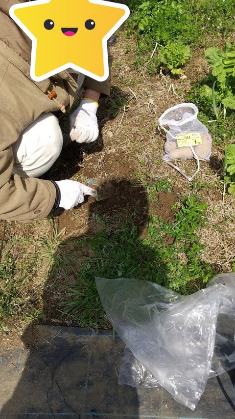 LINE_ALBUM_農業部_220325_2