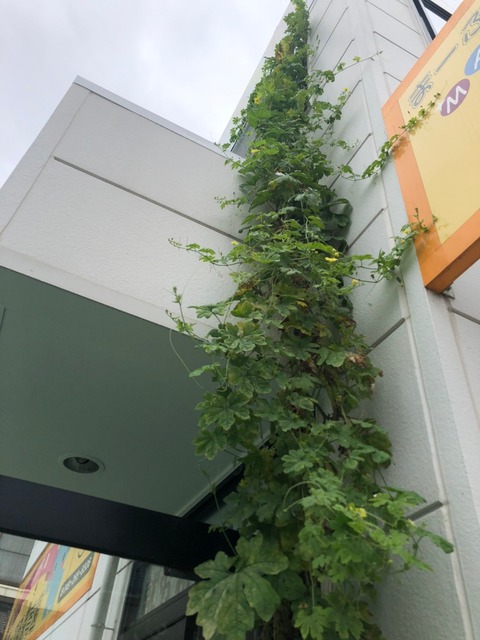 LINE_ALBUM_ブログ用_210928