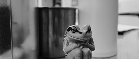 flog1