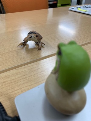 LINE_ALBUM_ブログ用_230208_2
