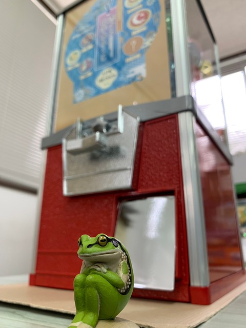 巨塔