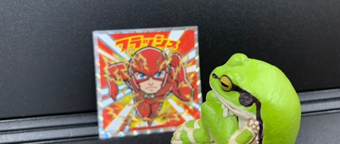 くそったれ、フラッシュ