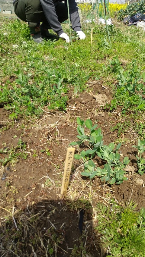 LINE_ALBUM_農業部_220325_5