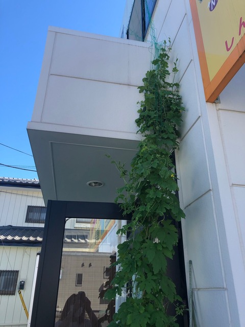 農業部_210810_0