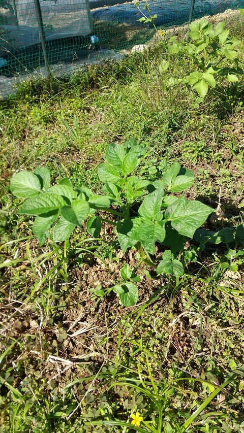 LINE_ALBUM_農業部_211029_3