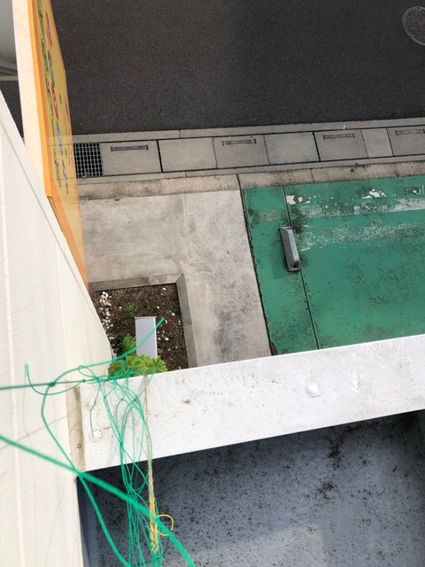 にがにがくん二階から_210720