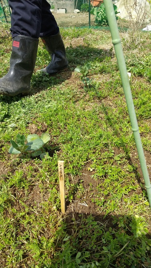 LINE_ALBUM_農業部_220325_4