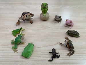 LINE_ALBUM_ブログ用_230221