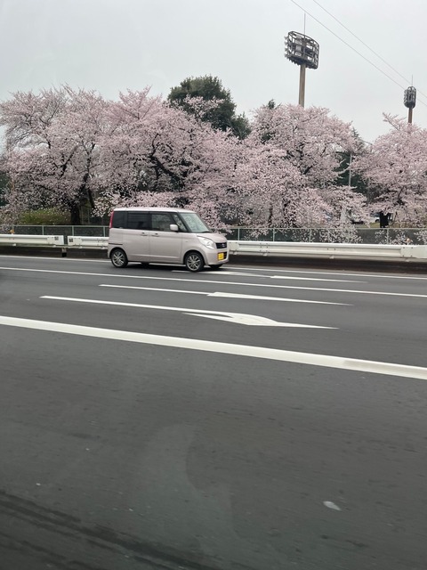 LINE_ALBUM_2022329市役所販売_220329