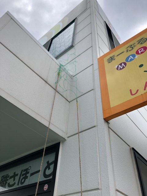 グリーンカーテン