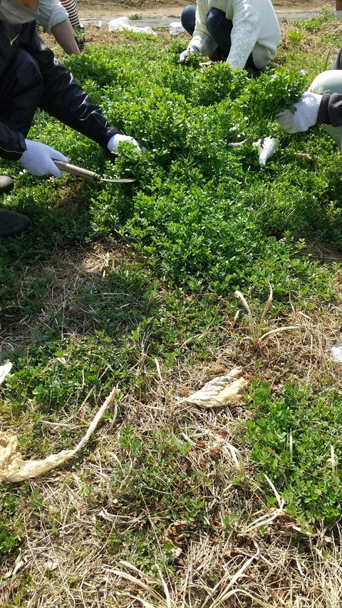 LINE_ALBUM_農業部_220311_0