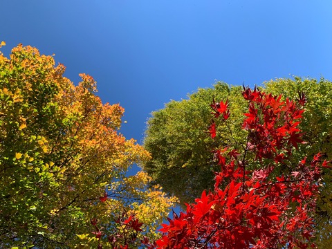 LINE_ALBUM_ブログ用_221207_1