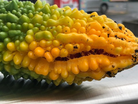 下弦の1 実割れ210727