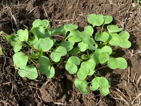 LINE_ALBUM_20221011_221012_3