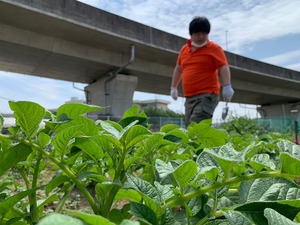 LINE_ALBUM_農業部_230510444