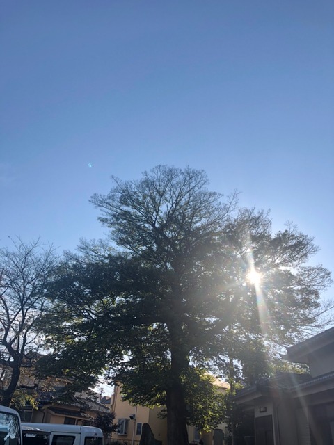 LINE_ALBUM_新河岸わくわくフェスティバル_211116_1