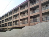 245674cb.jpg