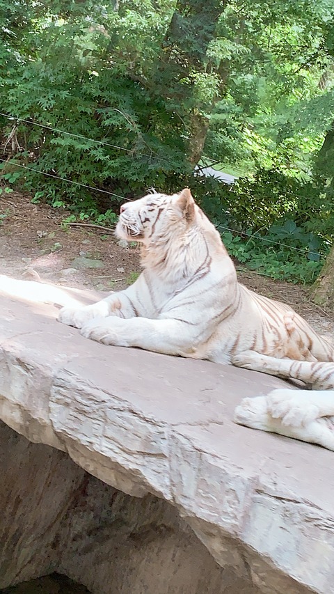 FB81CCC6-9F53-48DF-92B5-3949552C9743