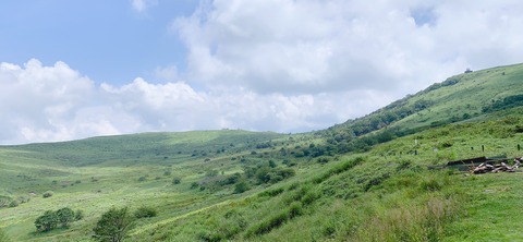 IMG_6199