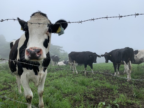 411CF278-4C0C-4D14-BA74-06227DFE9A94