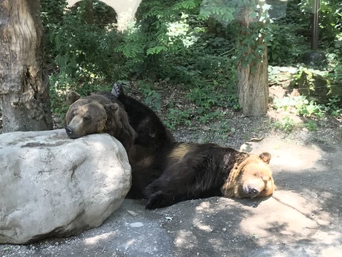 826B45EE-8473-4239-9EEF-DBE12D6B2E50