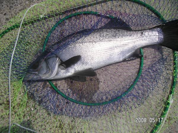 小呂島波止泊まり釣行 Houkouの彷徨人生 小呂島波止泊まり釣行 Houkouの彷徨人生
