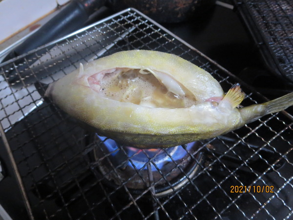 9月24日 土 福岡糸島の波止釣り ハコフグが釣れたので直火焼きにする Houkouの彷徨人生 9月24日 土 福岡糸島の波止釣り ハコフグが釣れたので直火焼きにする Houkouの彷徨人生