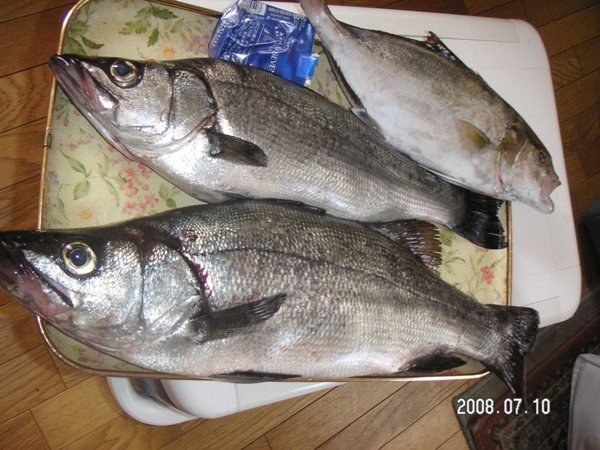 小呂島へ波止泊まり釣行 Houkouの彷徨人生